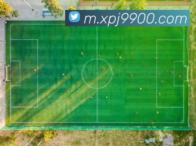 登录器